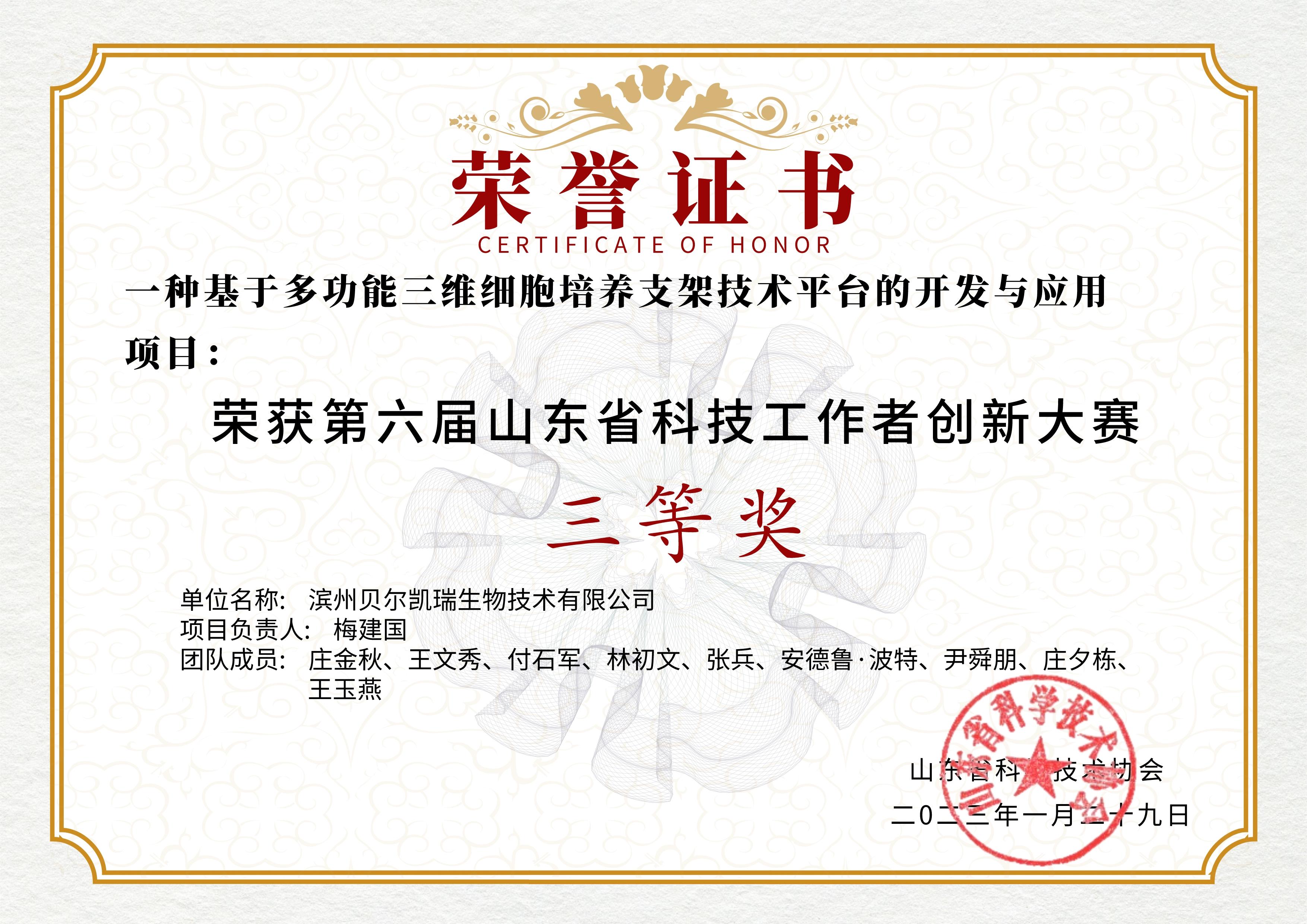 山東省科技創(chuàng)新大賽三等獎(jiǎng)